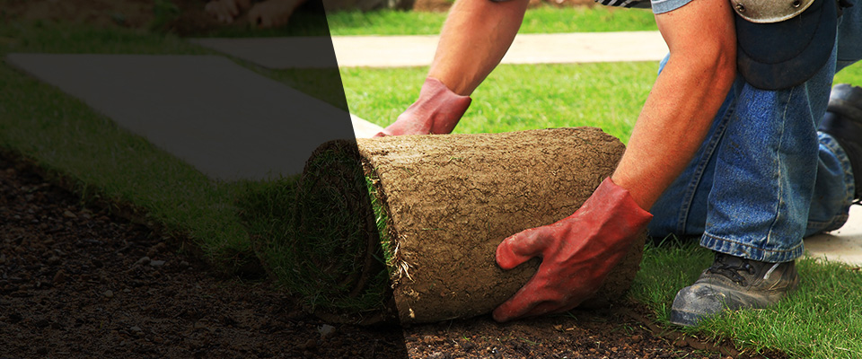 Stephenville Landscapers